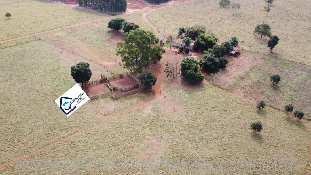 Fazenda em Selvíria