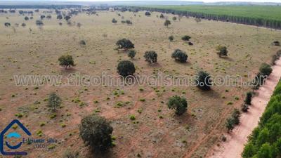 Fazenda em Selvíria - 5