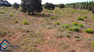 Fazenda em Selvíria - 7
