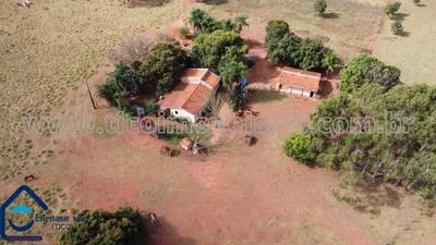 Fazenda em Selvíria - 8