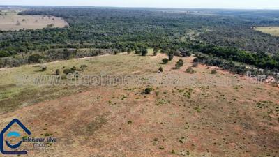 Fazenda em Selvíria - 10