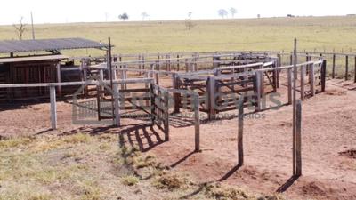 Vende-se fazenda - dupla aptidão - 4