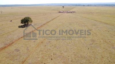 Vende-se fazenda - dupla aptidão - 5