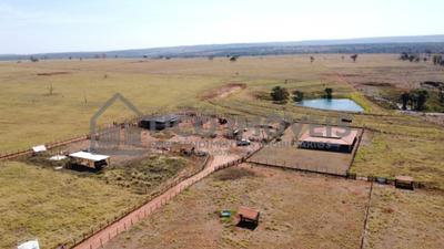 Vende-se fazenda - dupla aptidão - 7
