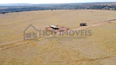 Vende-se fazenda - dupla aptidão - 11