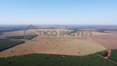 Vende-se fazenda - dupla aptidão - 12