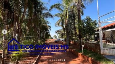 Chácara Próximo à Cohab Santa Rita de Cássia - 2