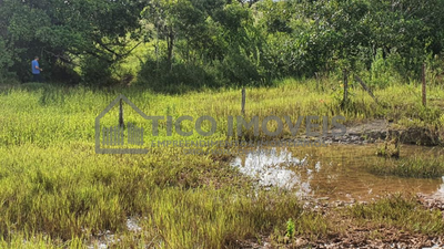 Sítio à Venda - Acesso pela BR-158 - 3